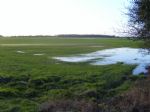 Barton Green Belt